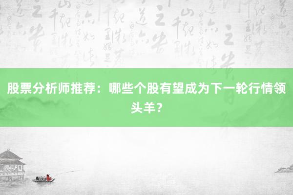 股票分析师推荐：哪些个股有望成为下一轮行情领头羊？