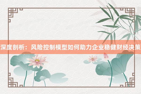 深度剖析：风险控制模型如何助力企业稳健财经决策