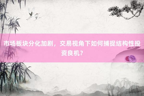市场板块分化加剧，交易视角下如何捕捉结构性投资良机？
