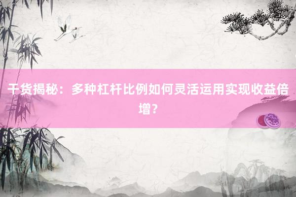干货揭秘：多种杠杆比例如何灵活运用实现收益倍增？